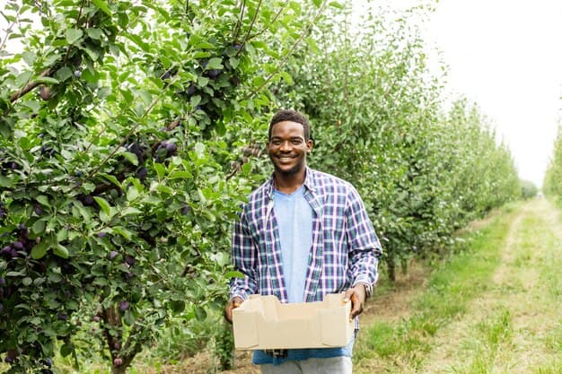 Fruit & Vegetable Picker