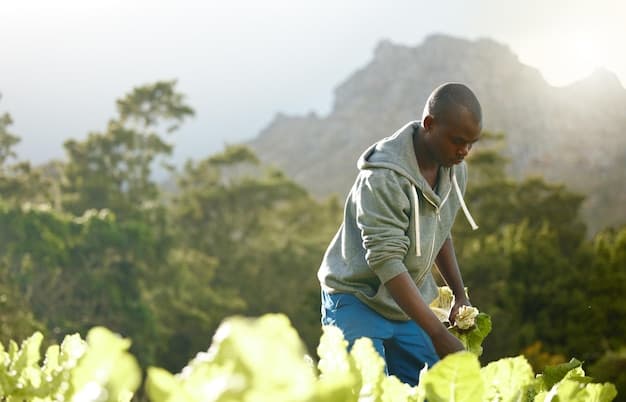 Farm Assistant